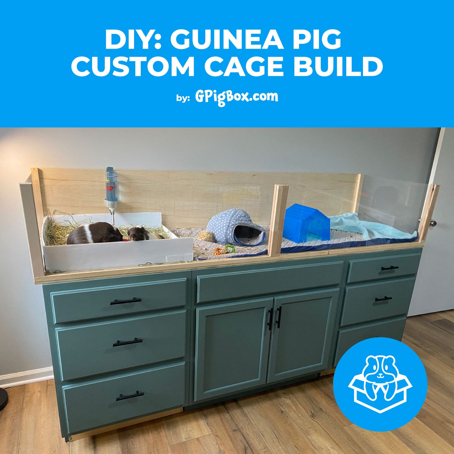 Making a guinea fashion pig cage