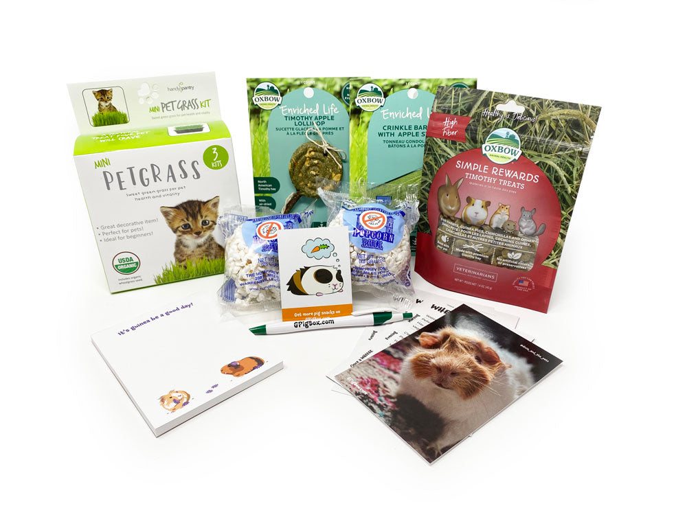 guinea pig subscription box may