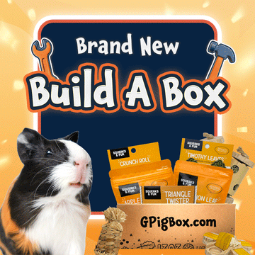 Gpigbox--Build-AD-1.gif__PID:c1e59573-07df-4967-8d26-51faba44d51d