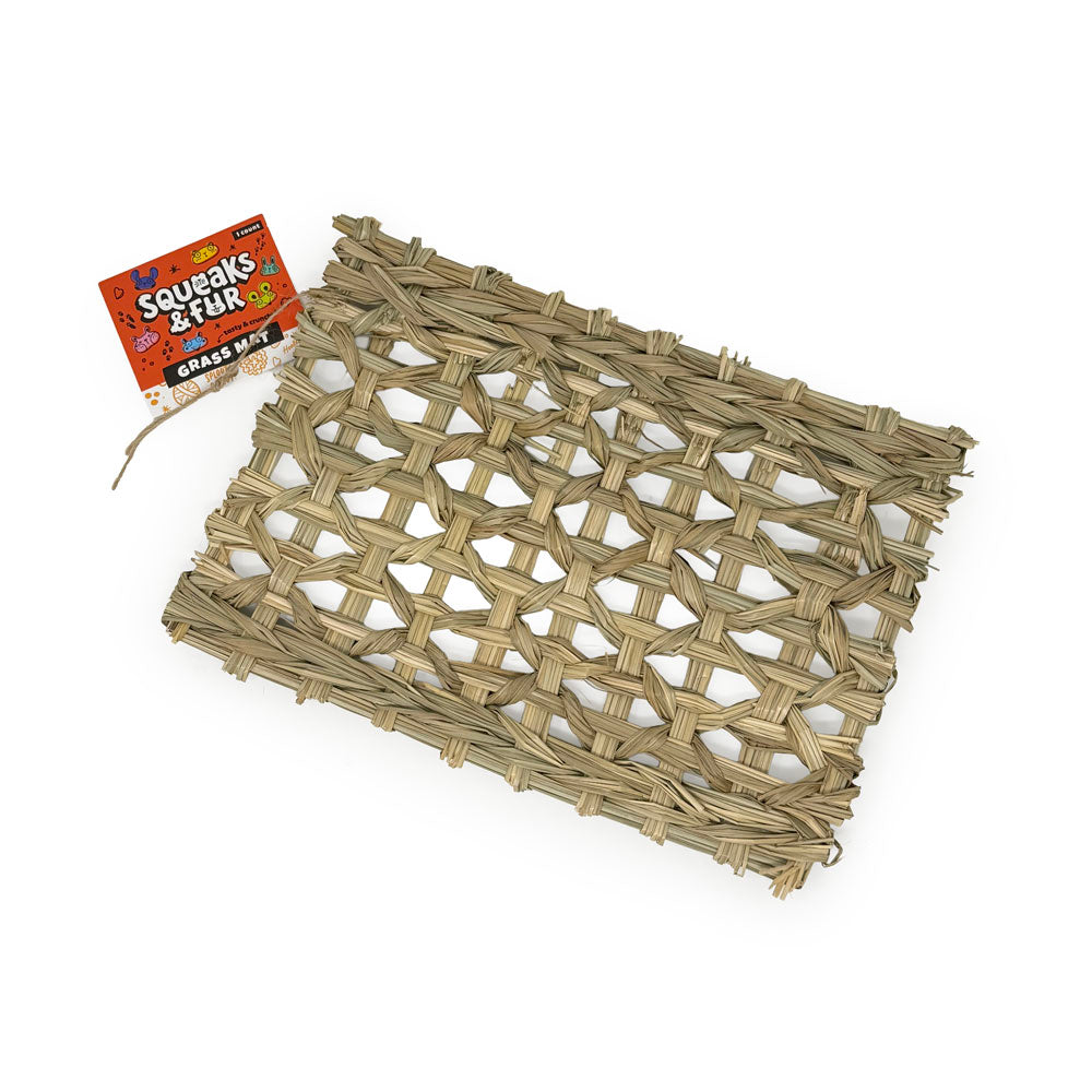 Grass_mat.jpg?v=1779413940&