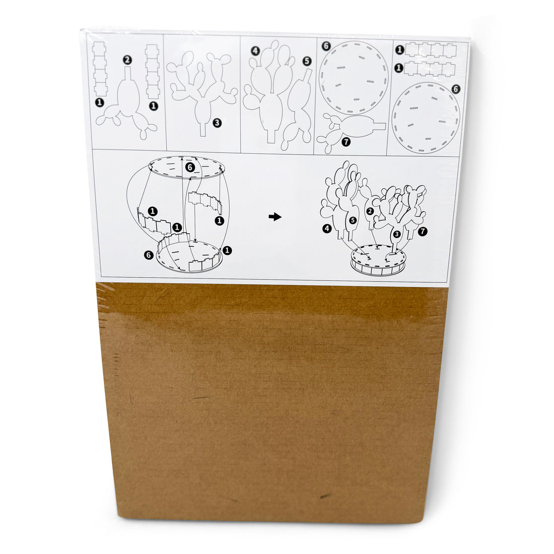 Cardboard Cactus - Squeaks & Fur