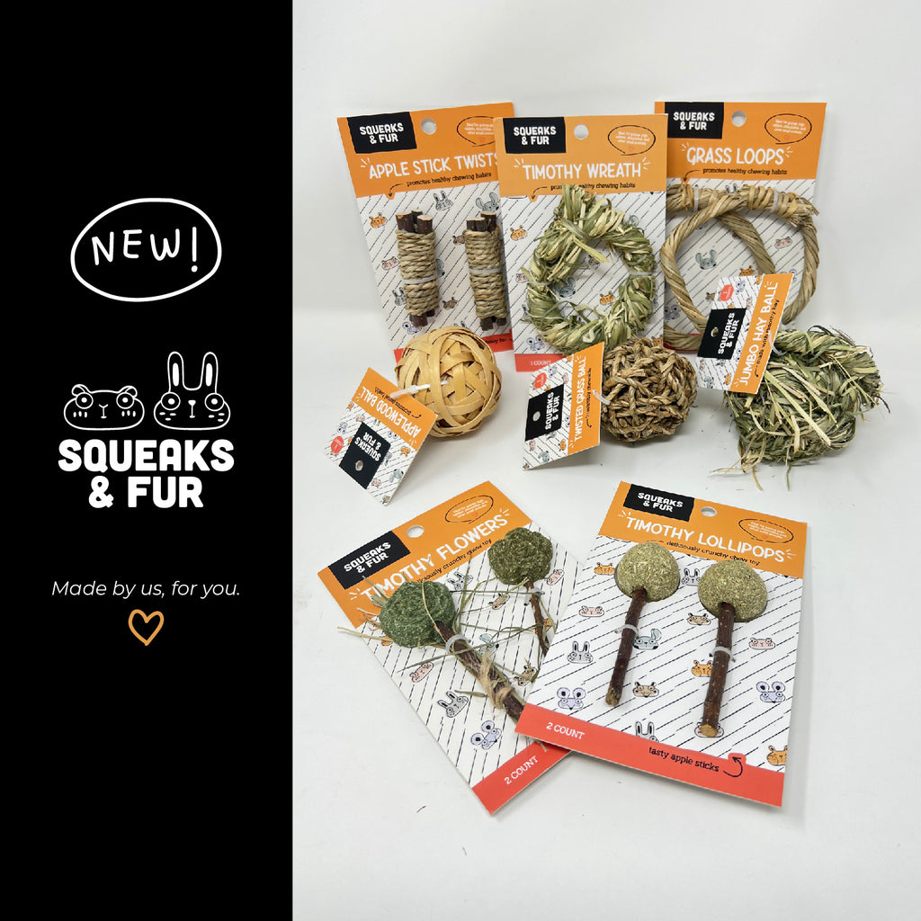 Squeaks & Fur Box - Single Delivery