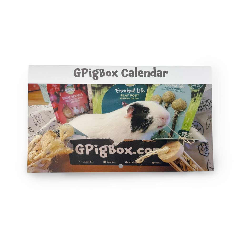 Exclusive GPigBox Calendar - 12 Months (Blank)