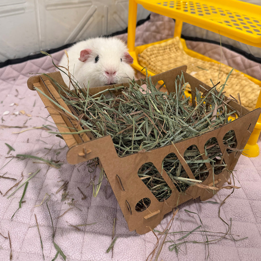 Shopping Cart Cardboard - Squeaks & Fur