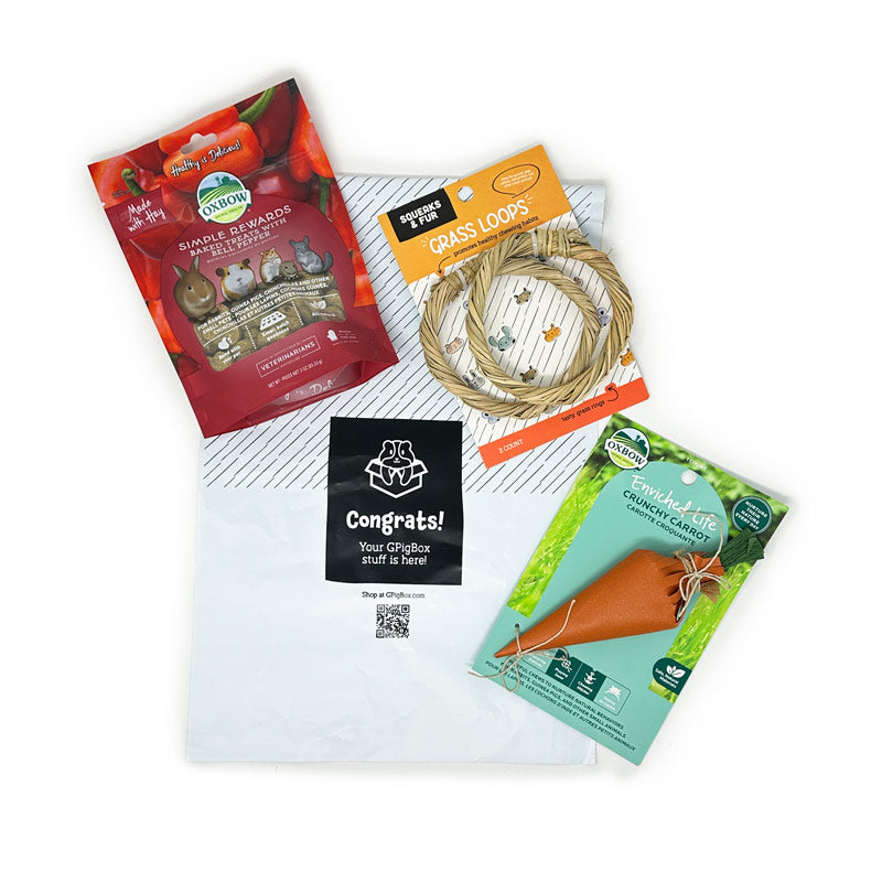 The Piggy Pouch: Just the Basics - Monthly Subscription for Guinea