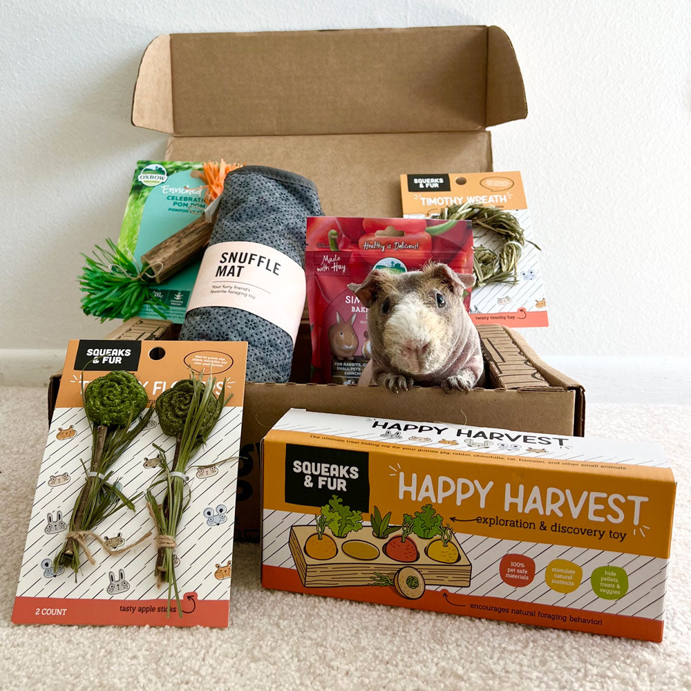 The Lovers Box: 1-2 Guinea Pigs - Monthly Subscription Box | GPigBox