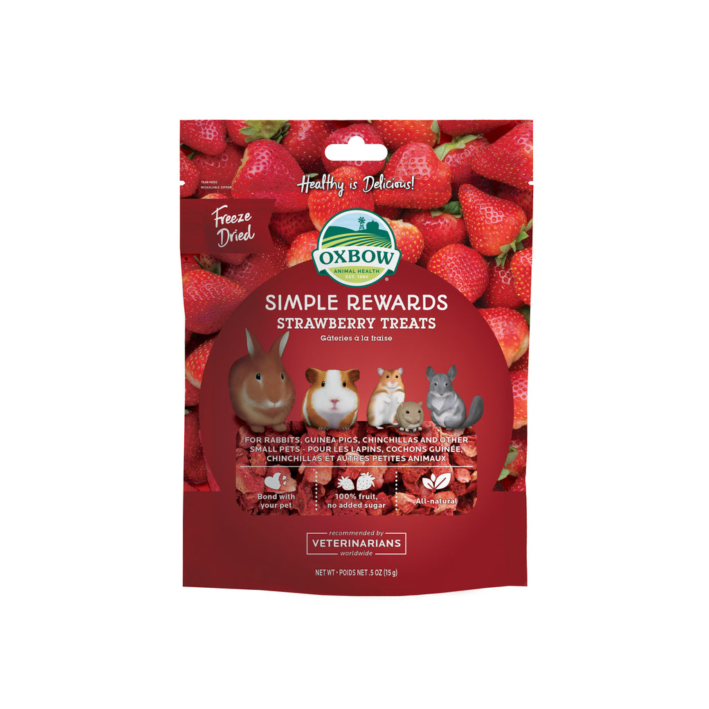 Freeze-Dried Strawberry Treats - Simple Rewards
