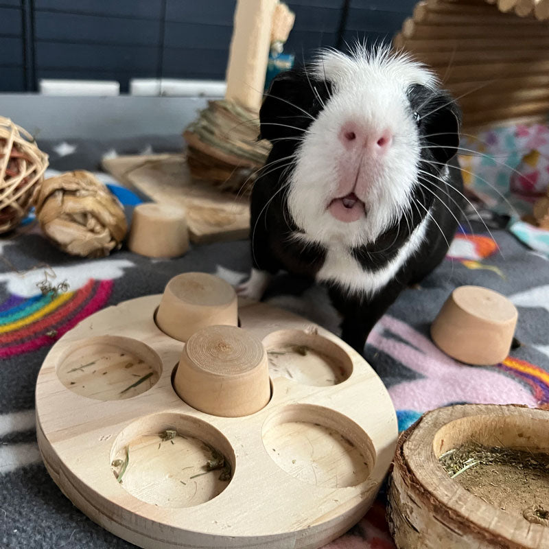 Wooden Puzzler - Enriched Life