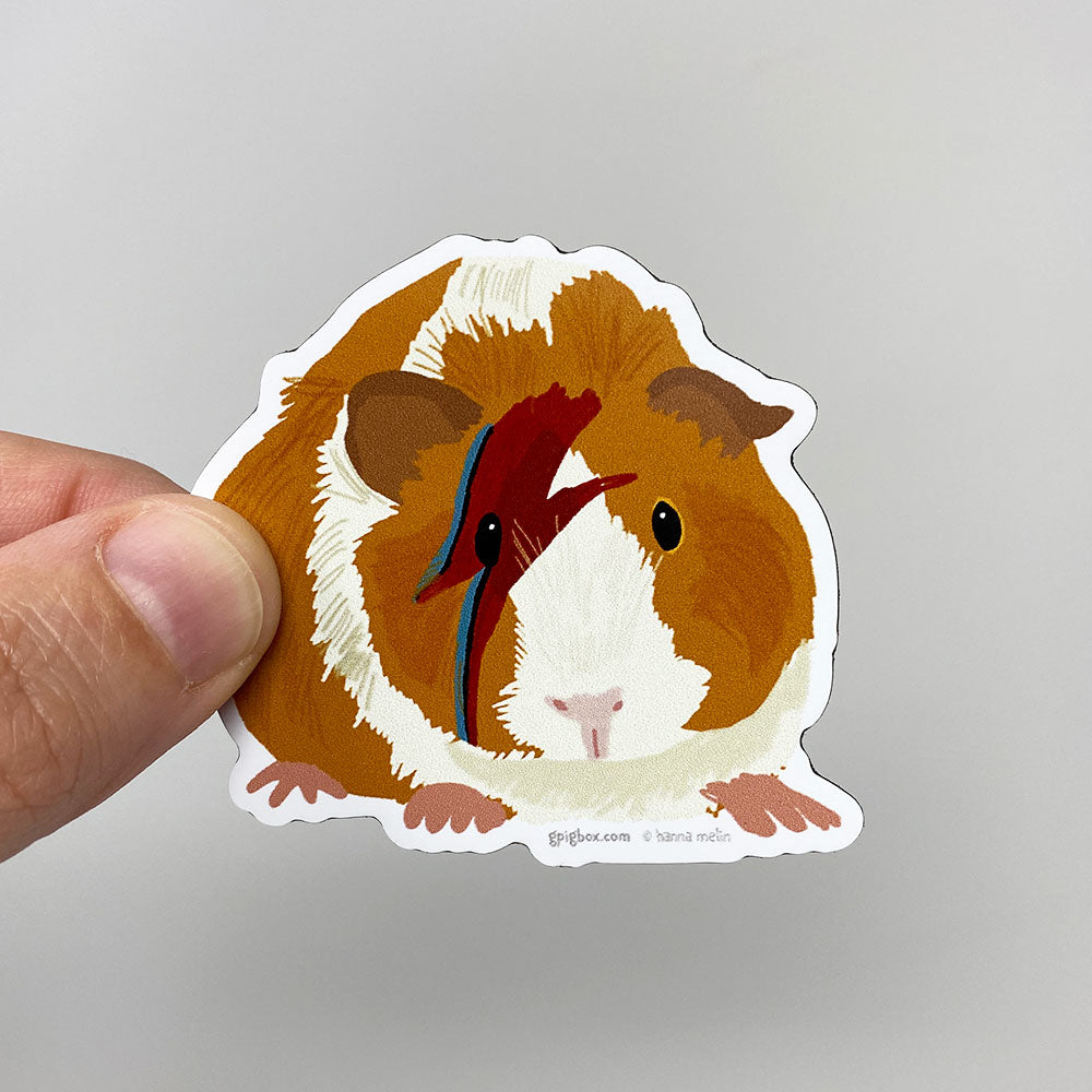 Bowie Guinea Pig Magnet